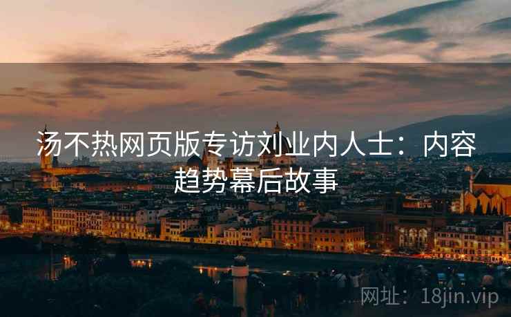 汤不热网页版专访刘业内人士：内容趋势幕后故事